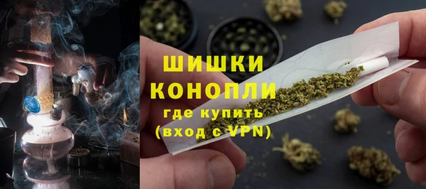 гашик Костерёво