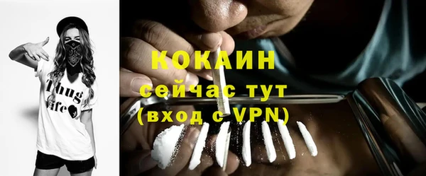 гашик Костерёво