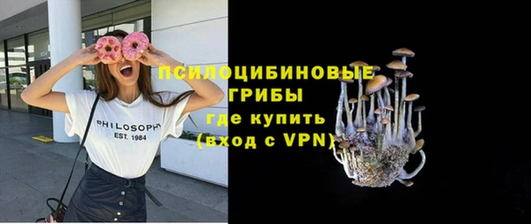 гидропоника Коряжма