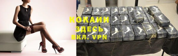 дмт Корсаков