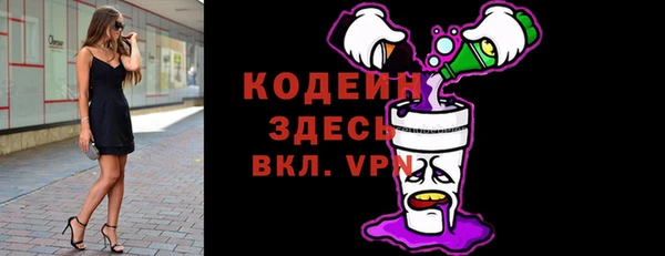 гашик Костерёво