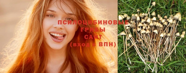дмт Корсаков