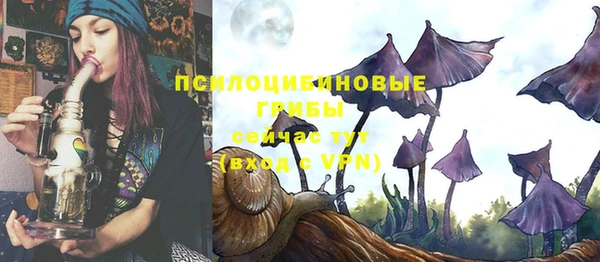 дмт Корсаков