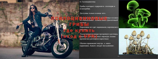 гидропоника Коряжма