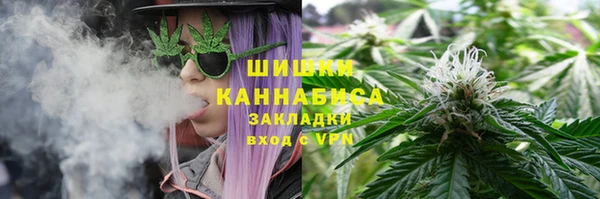 дмт Корсаков