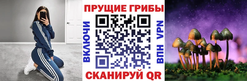 Псилоцибиновые грибы ЛСД  Малоярославец 