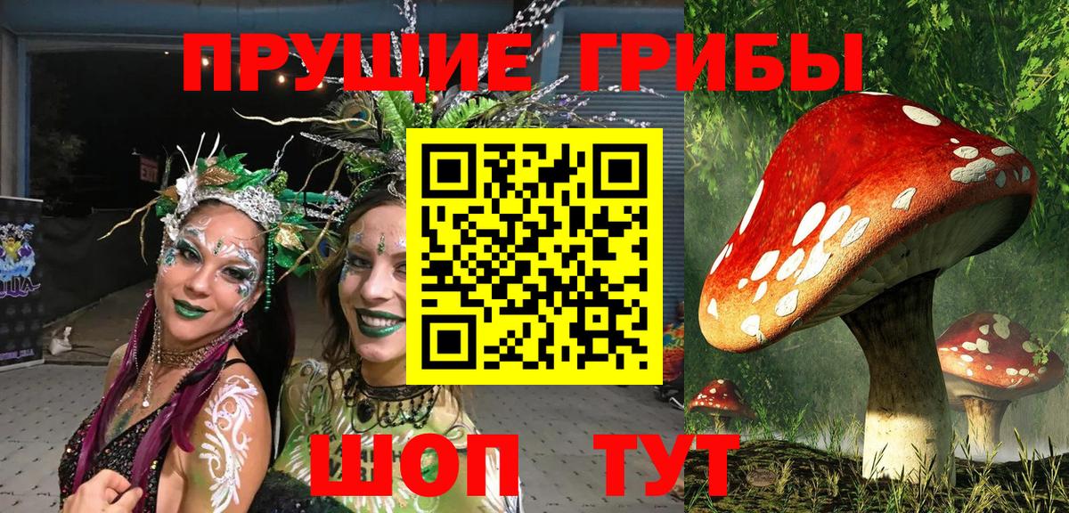 Псилоцибиновые грибы Cubensis  Вход с VPN  Малоярославец 